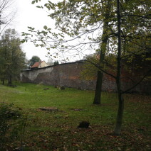 Byczyna (9)