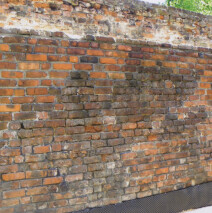 Mur(7)