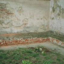 Sokolniki (1)